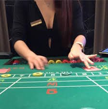 Privacy account safety and responsible gaming on the bd 67 platform page